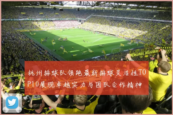 杭州排球队领跑最新排球灵活性TOP10展现卓越实力与团队合作精神