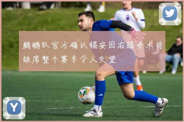 鹈鹕队官方确认锡安因右膝手术将缺席整个赛季令人失望